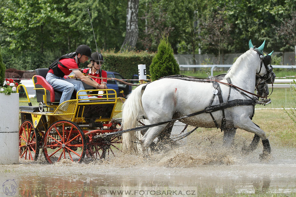 spřežení Pardubice