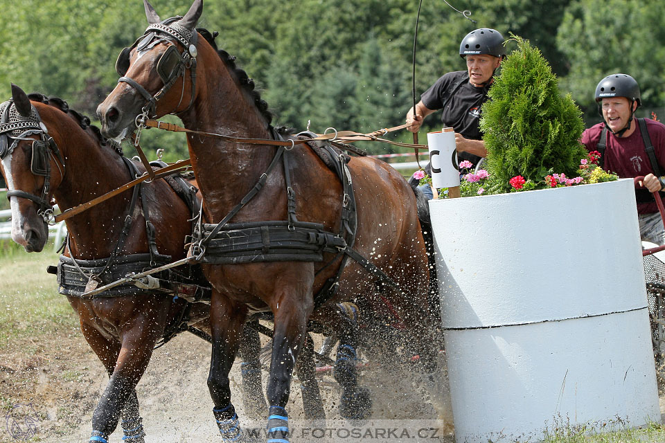 spřežení Pardubice