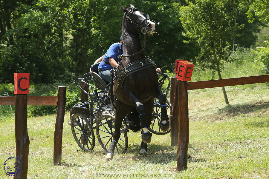 Těšánky - neděle