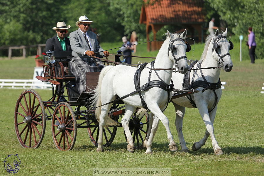 Těšánky - sobota