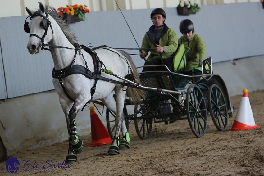 Tlumačov 2019 - spřežení 