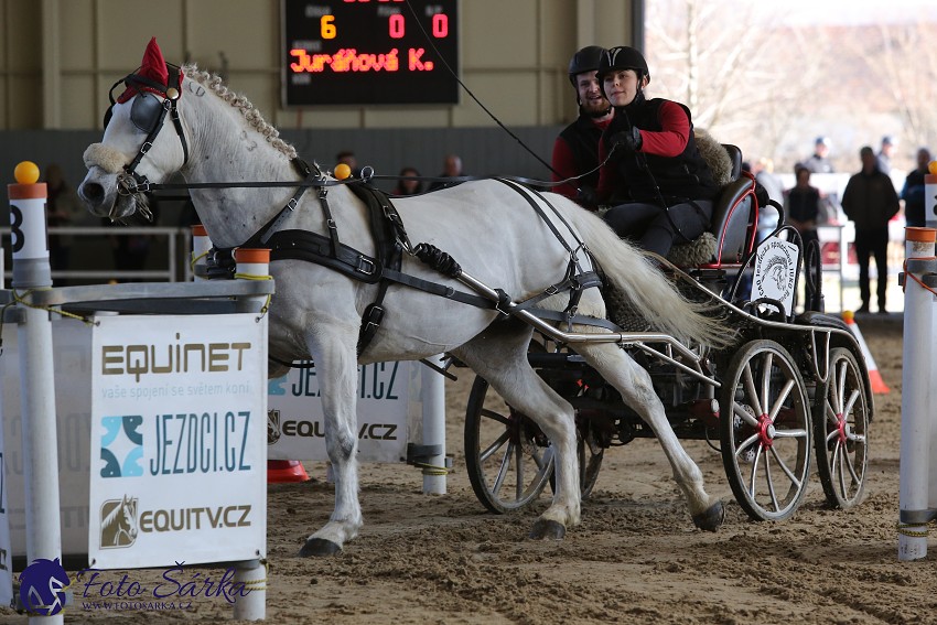 Tlumačov 2019 - spřežení 