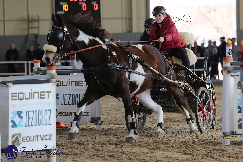 Tlumačov 2019 - spřežení 
