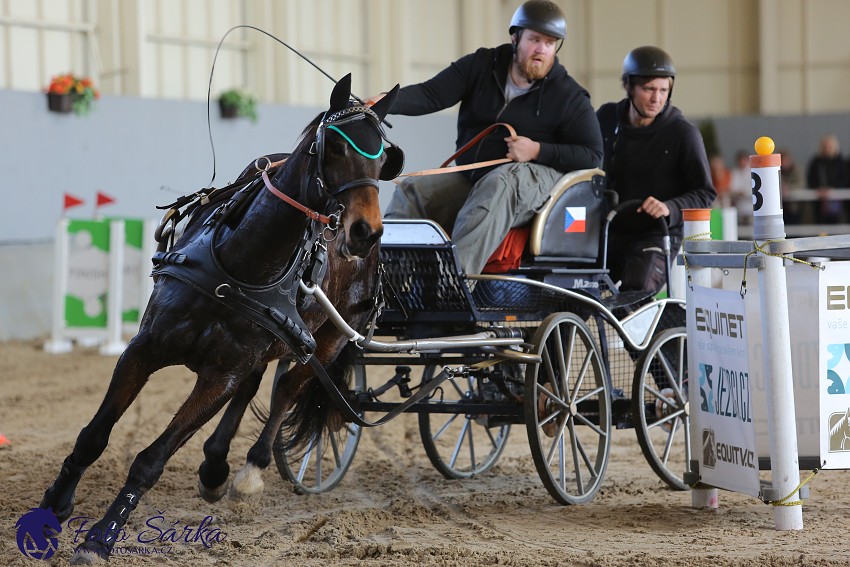 Tlumačov 2019 - spřežení 