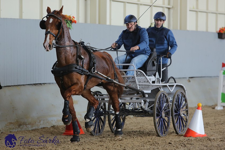 Tlumačov 2019 - spřežení 