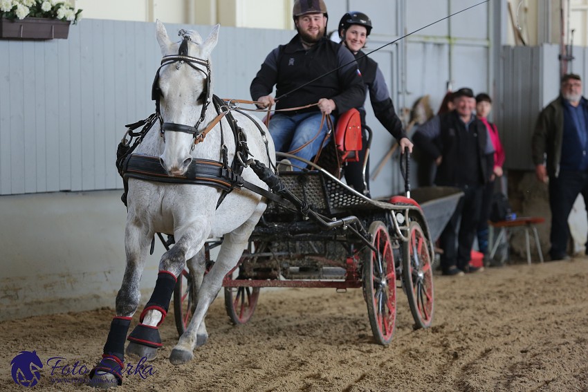 Tlumačov 2019 - spřežení 