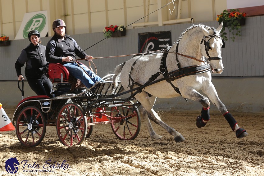 Tlumačov 2019 - spřežení 