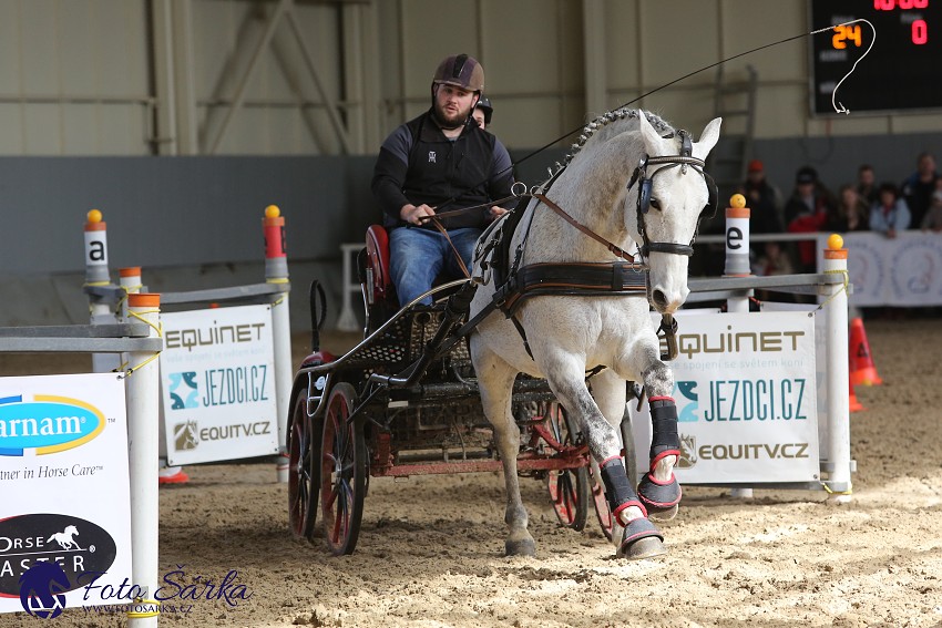 Tlumačov 2019 - spřežení 
