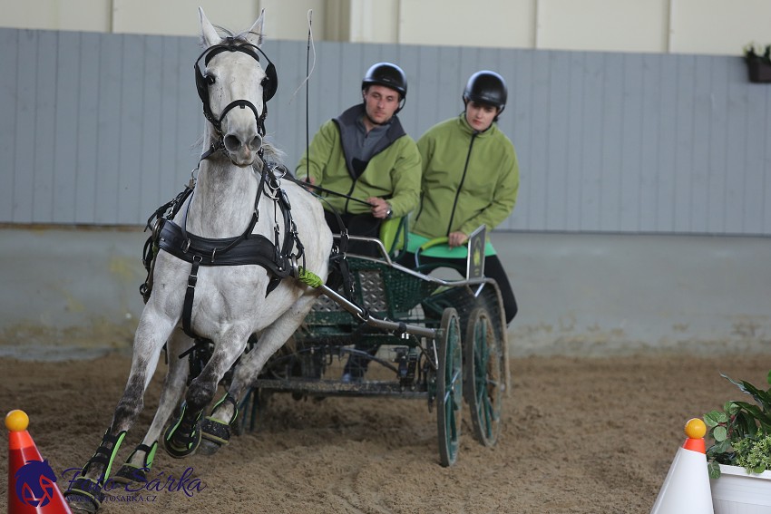 Tlumačov 2019 - spřežení 