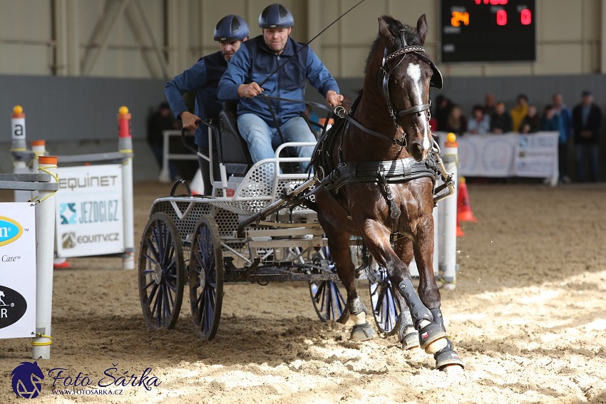 Tlumačov 2019 - spřežení 