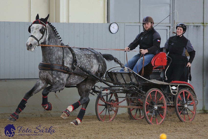 Tlumačov 2019 - spřežení 