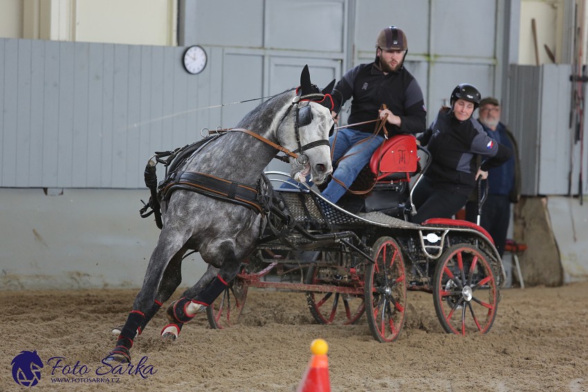 Tlumačov 2019 - spřežení 