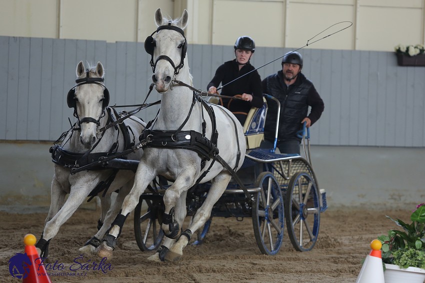 Tlumačov 2019 - spřežení 