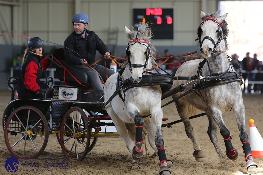 Tlumačov 2019 - spřežení 