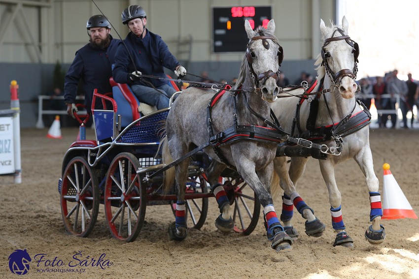 Tlumačov 2019 - spřežení 