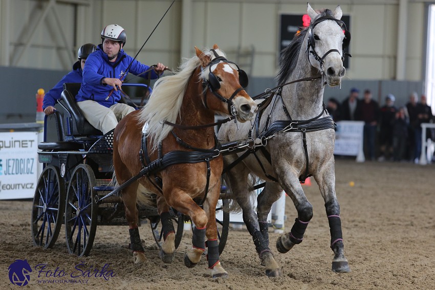 Tlumačov 2019 - spřežení 