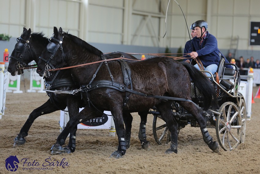 Tlumačov 2019 - spřežení 