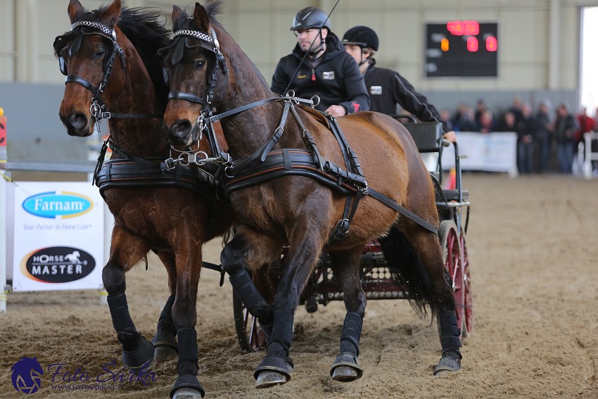 Tlumačov 2019 - spřežení 