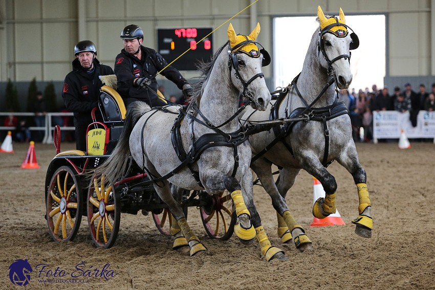 Tlumačov 2019 - spřežení 