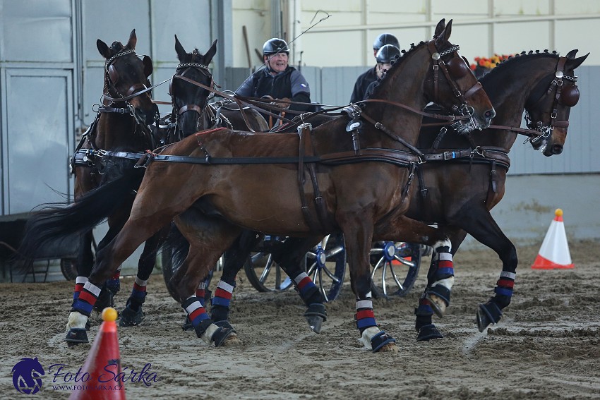 Tlumačov 2019 - spřežení 