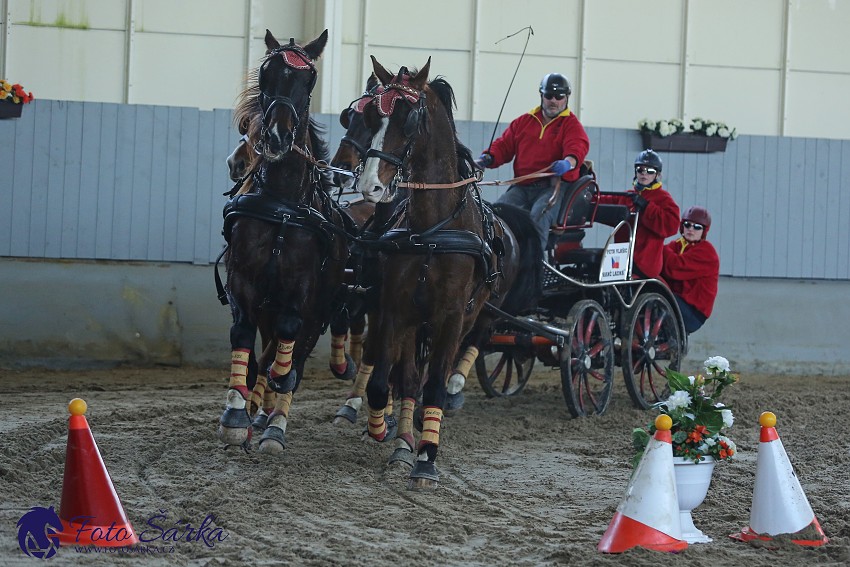 Tlumačov 2019 - spřežení 