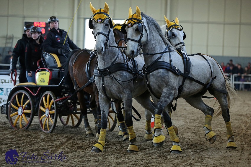 Tlumačov 2019 - spřežení 