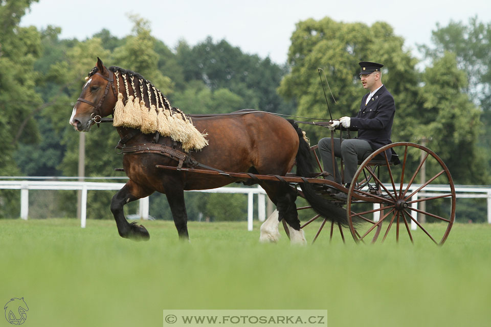 Velký jezdecký den 