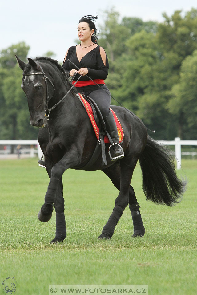 Velký jezdecký den 