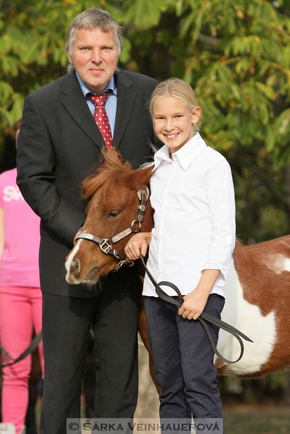 Výstava minihorse 