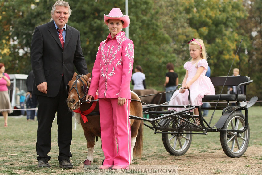 Výstava minihorse 