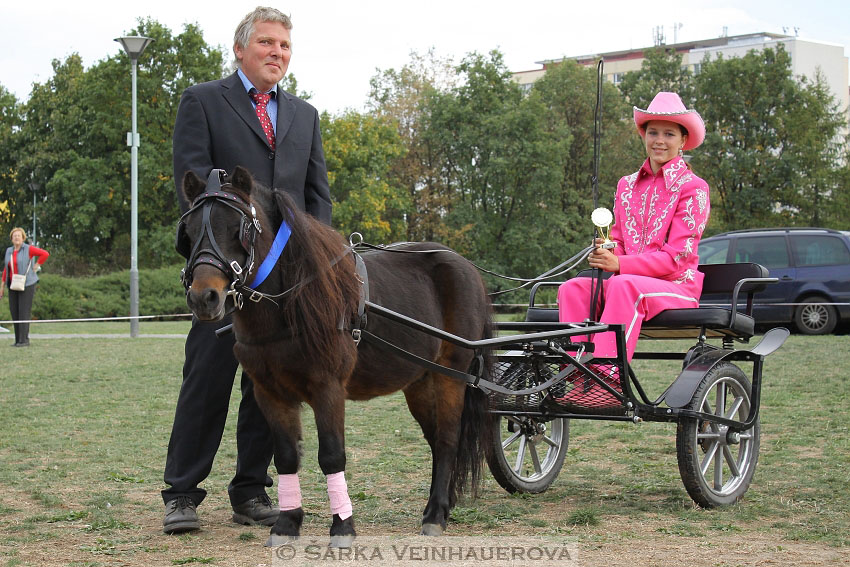 Výstava minihorse 