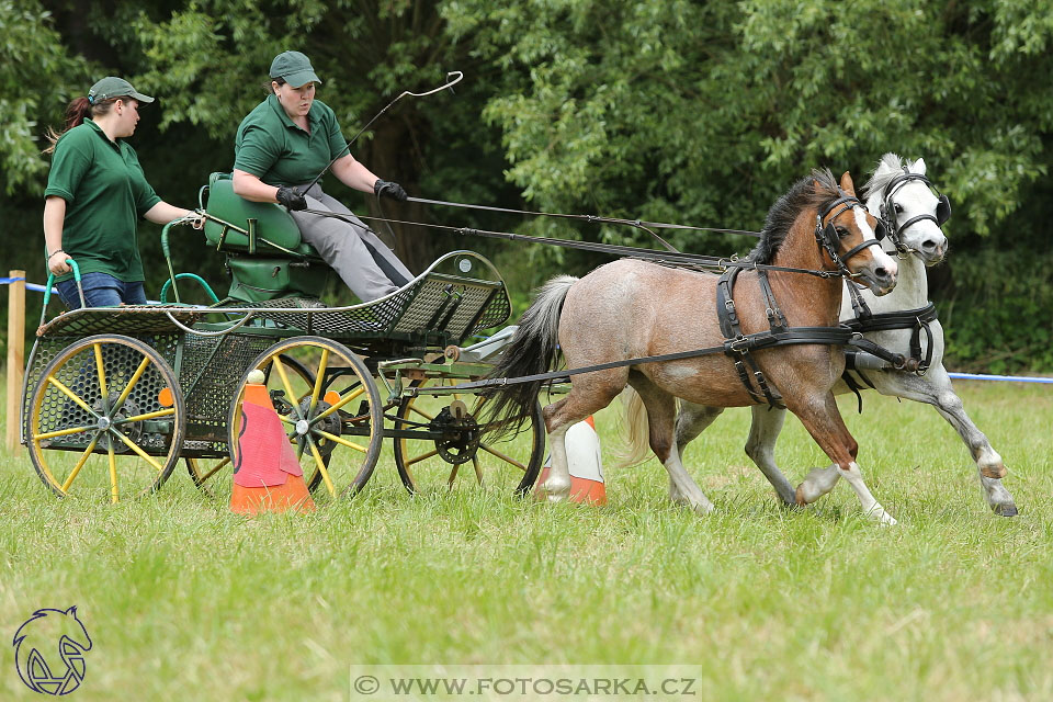 XXVI. ročník Memoriálu Jana Branče
