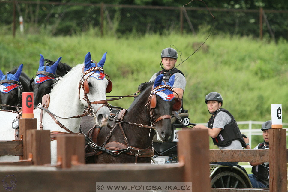 Závody spřežení Topoľčianky 2016