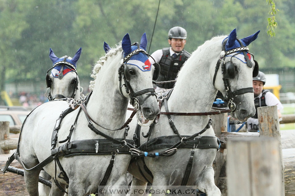 Závody spřežení Topoľčianky 2016