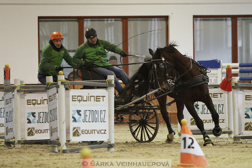 Zimní Jezdecký pohár spřežení 2016 - Brno