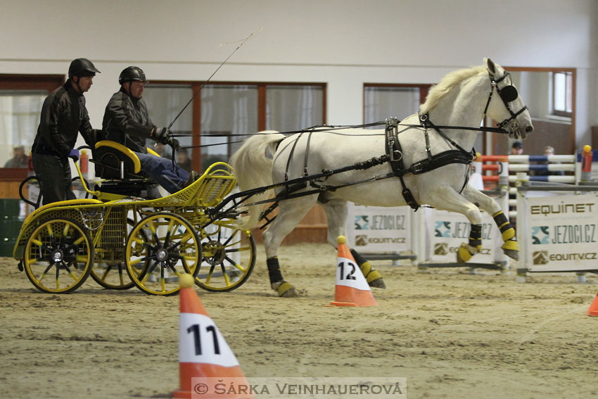 Zimní Jezdecký pohár spřežení 2016 - Brno