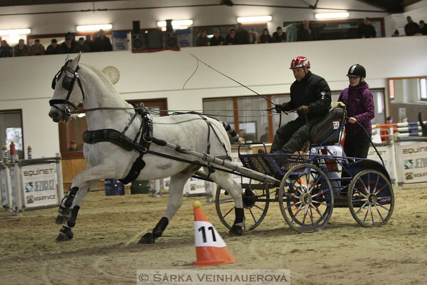 Zimní Jezdecký pohár spřežení 2016 - Brno