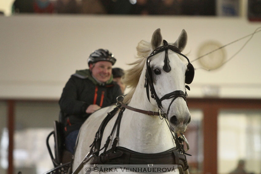 Zimní Jezdecký pohár spřežení 2016 - Brno