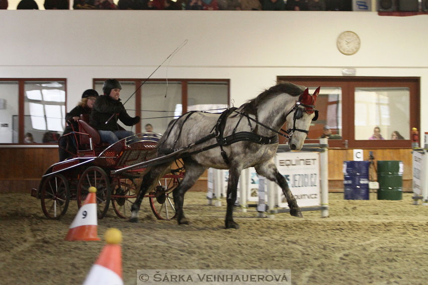 Zimní Jezdecký pohár spřežení 2016 - Brno