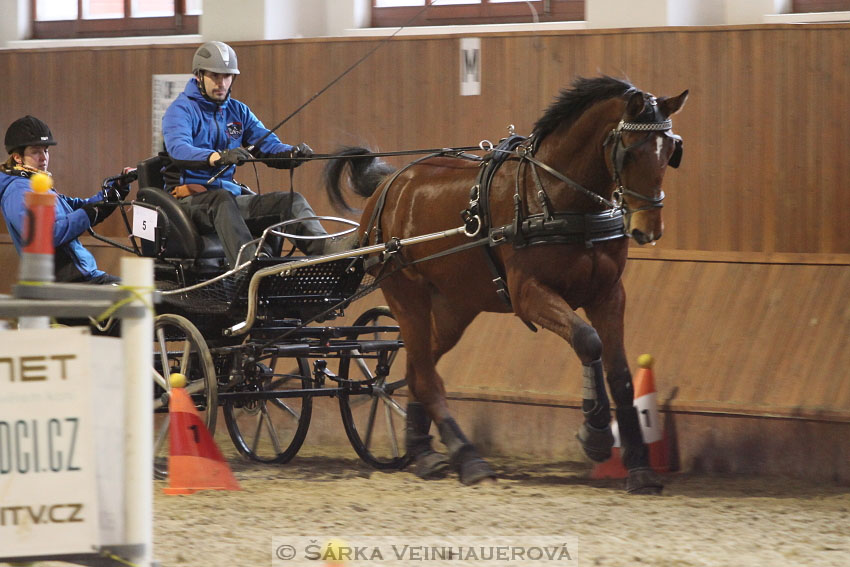 Zimní Jezdecký pohár spřežení 2016 - Brno