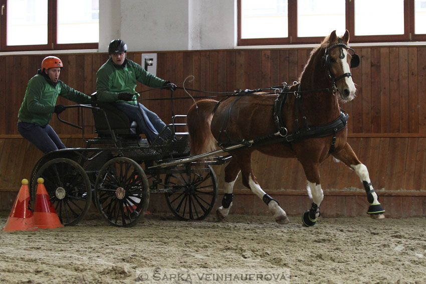 Zimní Jezdecký pohár spřežení 2016 - Brno