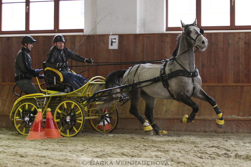 Zimní Jezdecký pohár spřežení 2016 - Brno