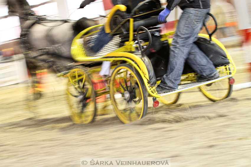 Zimní Jezdecký pohár spřežení 2016 - Brno