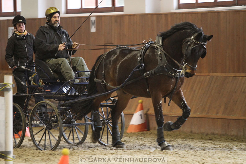 Zimní Jezdecký pohár spřežení 2016 - Brno
