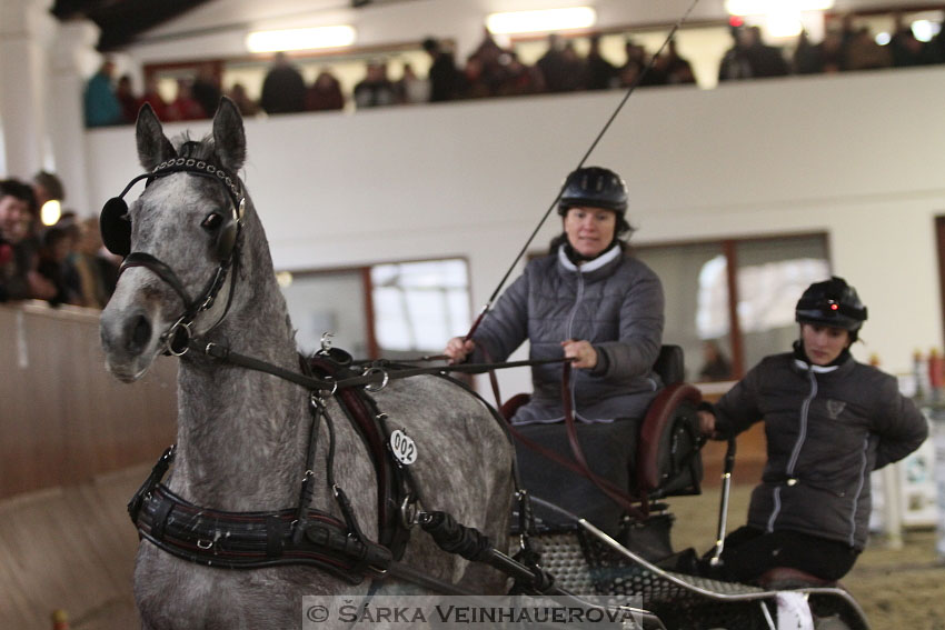 Zimní Jezdecký pohár spřežení 2016 - Brno