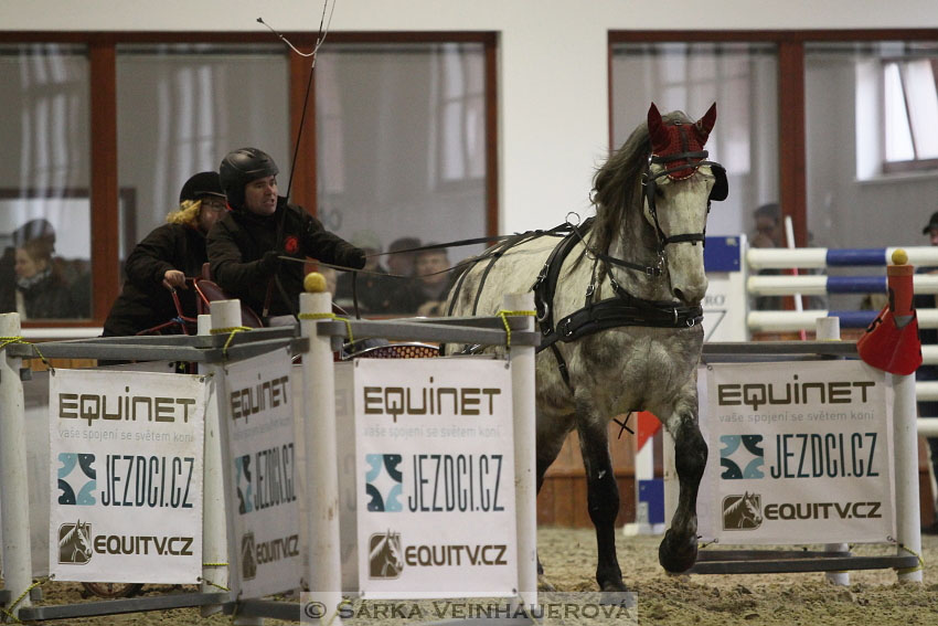 Zimní Jezdecký pohár spřežení 2016 - Brno
