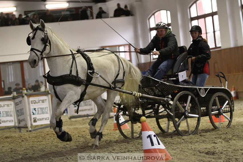 Zimní Jezdecký pohár spřežení 2016 - Brno