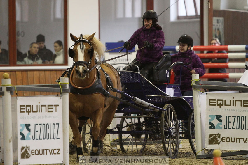 Zimní Jezdecký pohár spřežení 2016 - Brno