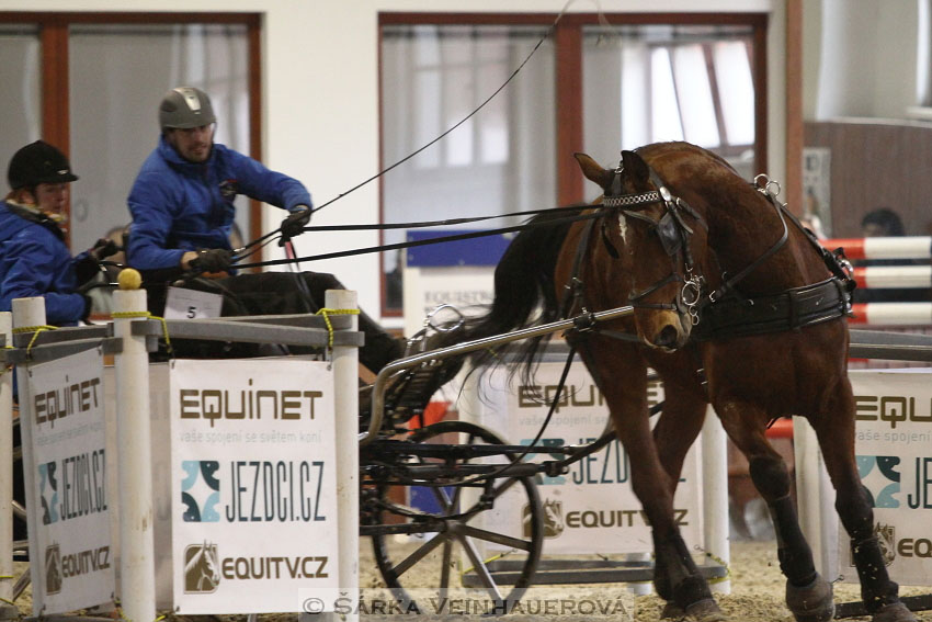 Zimní Jezdecký pohár spřežení 2016 - Brno