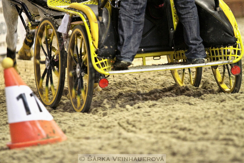 Zimní Jezdecký pohár spřežení 2016 - Brno